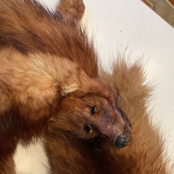 Double headed vintage mink stole - Picture 4 of 7